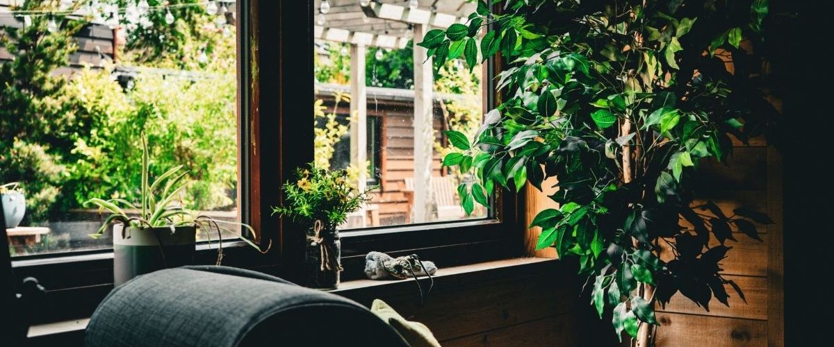 About Sanctum Wellness and Beauty