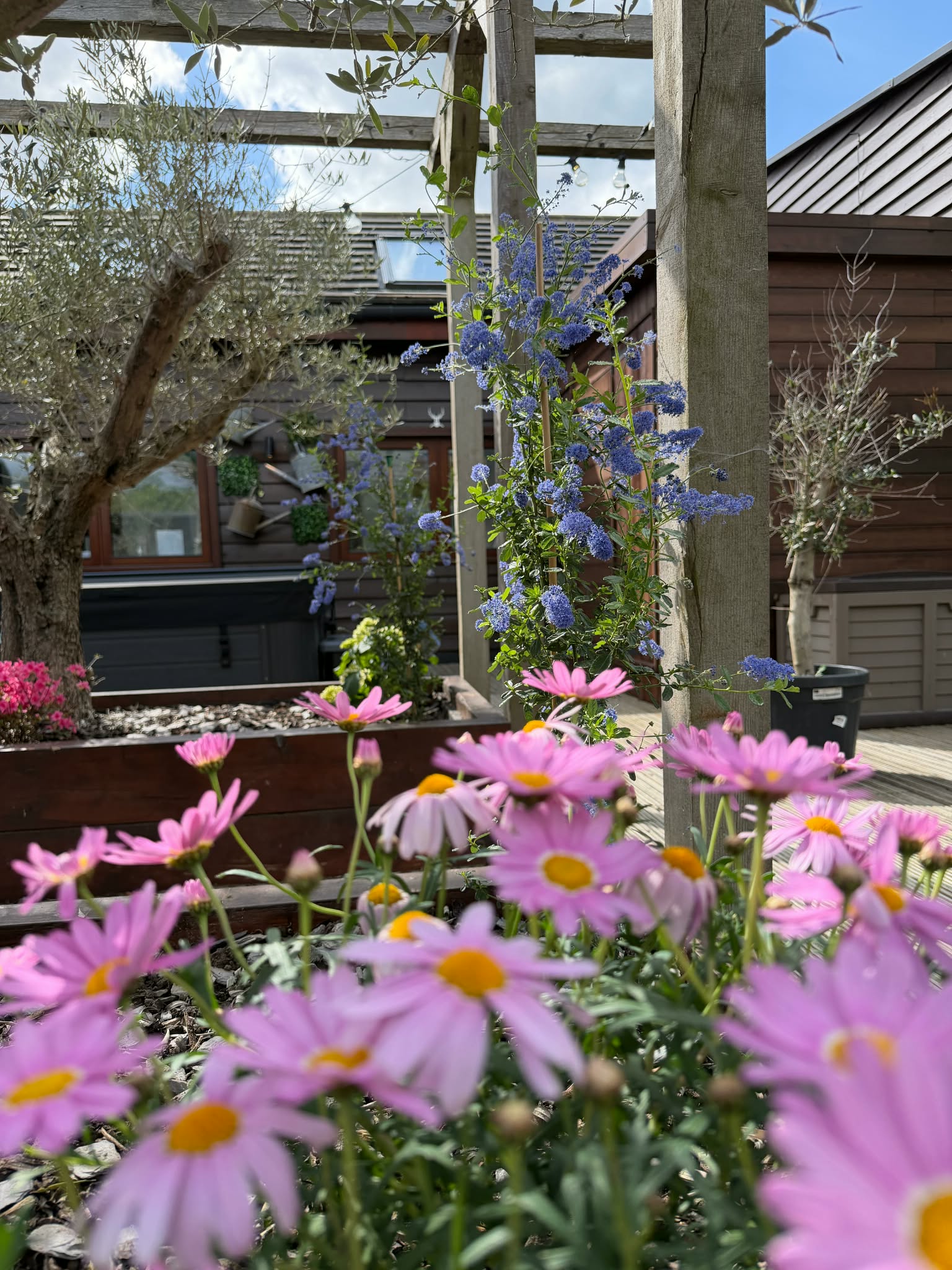 Courtyard Spa Hot Tubs